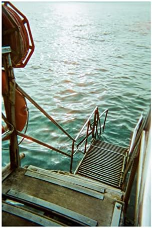 RETO Amber Spark 35mm Disposable Film Camera 27exp, Color Negative Film, Focus Free, Easy to Use, Built in Flash, Single Use (Film and Battery Included) - Image 4